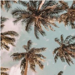 Meet your Posher, Kendall